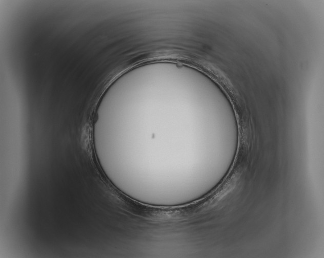 X0000100771369200807171402