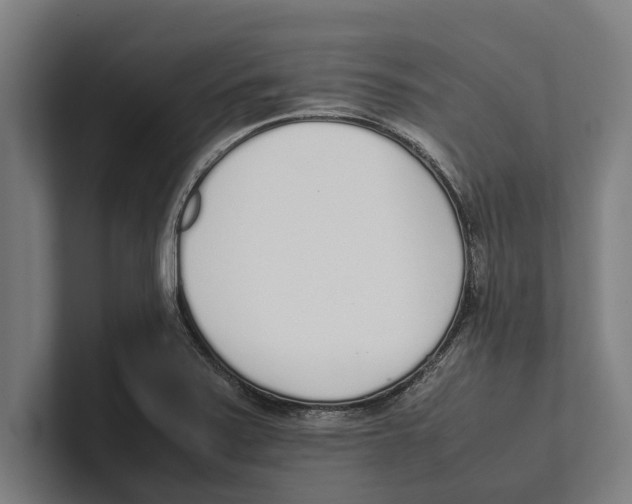 X0000100771371200807171402