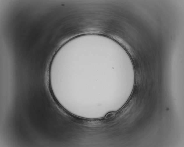 X0000100771383200807171402