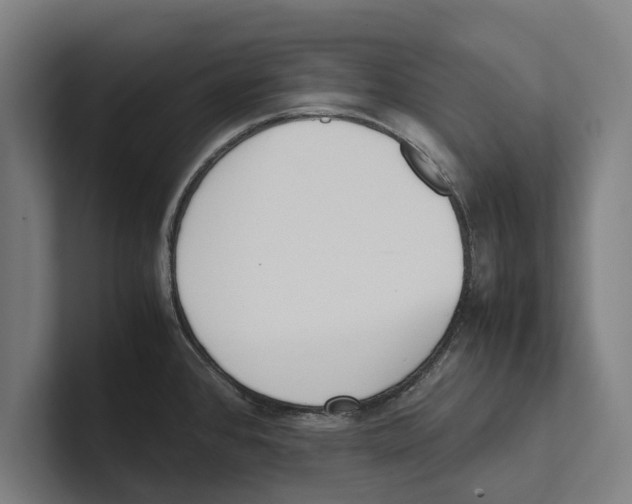 X0000100771384200807171402