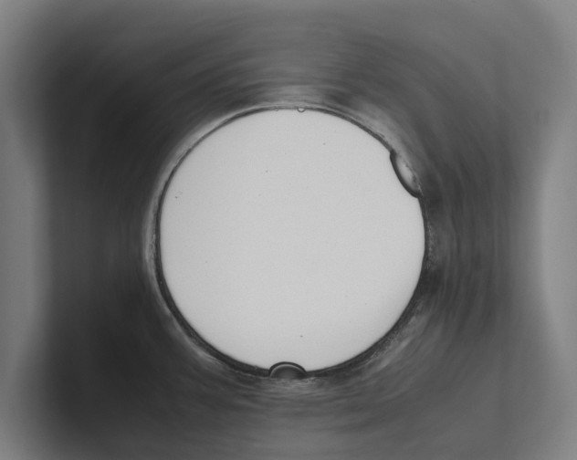 X0000100771387200807171402