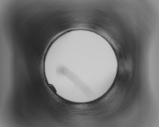 X0000100771388200807171402