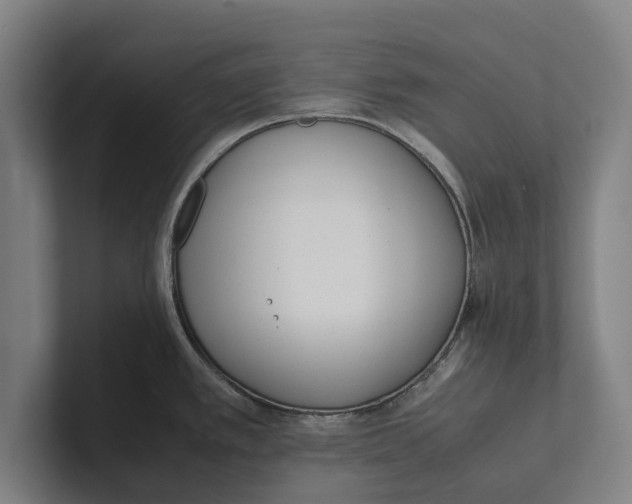 X0000100771389200807171402
