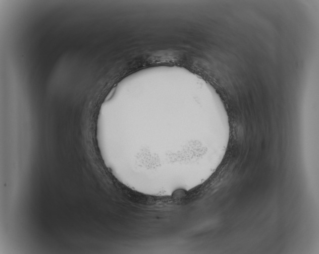 X0000100771393200807171401