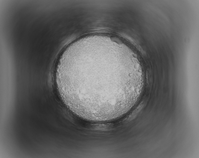 X0000100771405200807171402