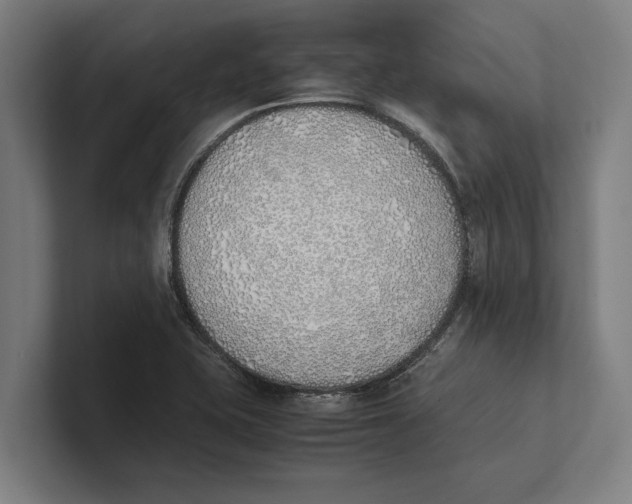 X0000100771415200807171402