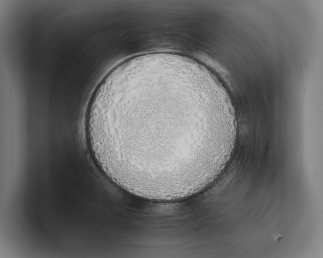 X0000100771423200807171402