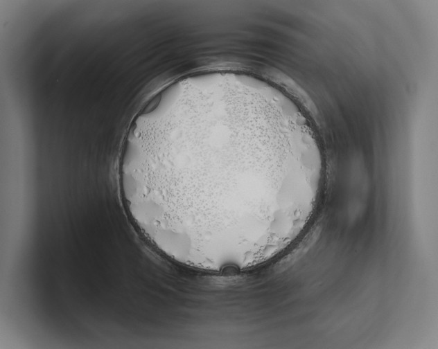 X0000100771425200807171402