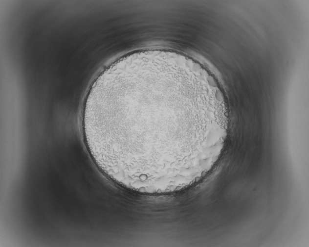 X0000100771429200807171402