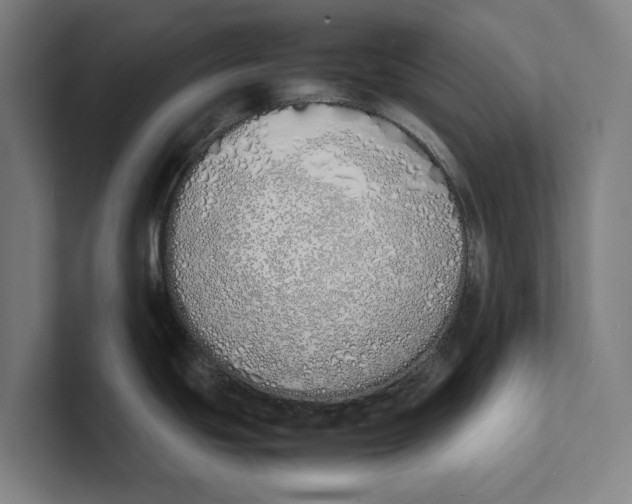 X0000100771439200807171402