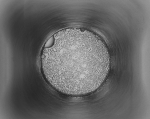 X0000100771467200807171401