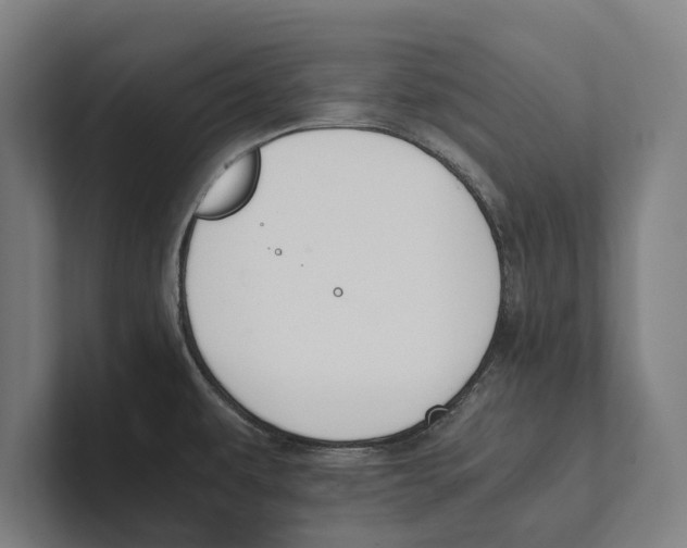 X0000100771479200807171401