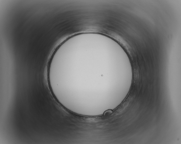 X0000100771480200807171401