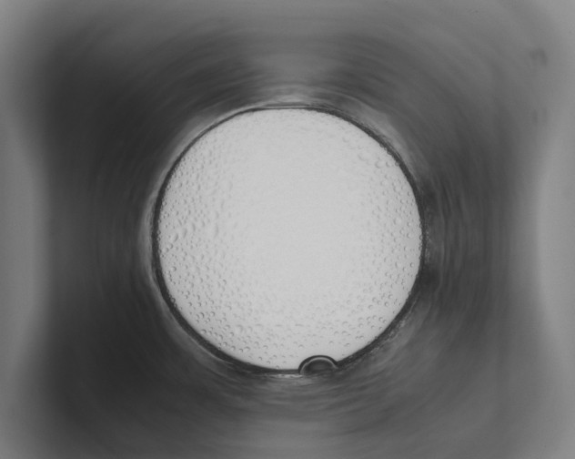 X0000100771483200807171401