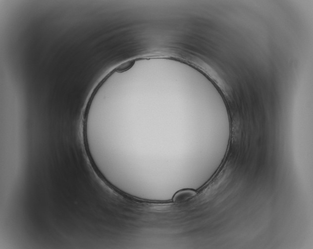 X0000100771484200807171401