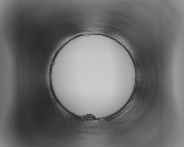 X0000100771485200807171401