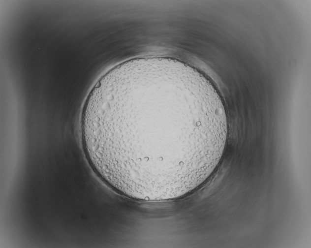 X0000100771487200807171401