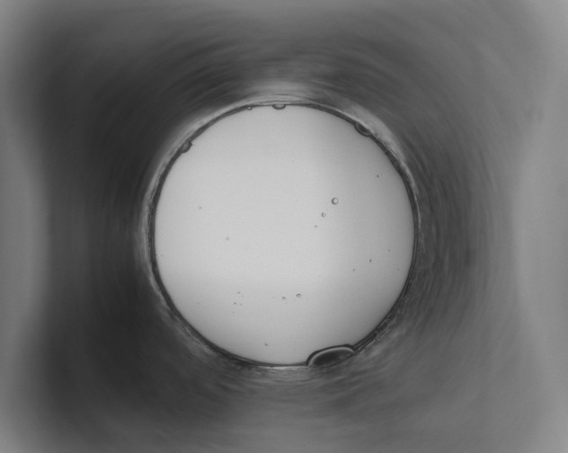 X0000100771488200807171401