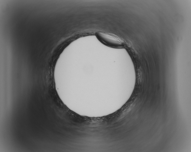 X0000100771494200807171400