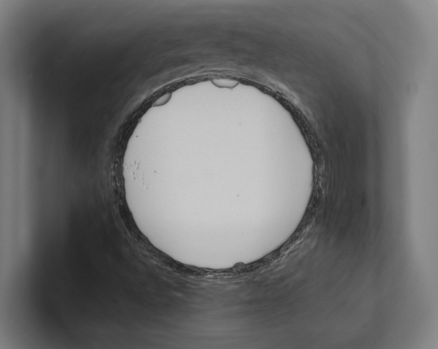 X0000100771496200807171400