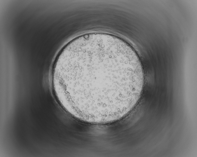 X0000100771514200807171400
