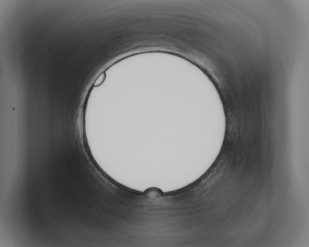 X0000100771516200807171400