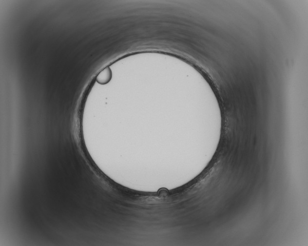 X0000100771517200807171401