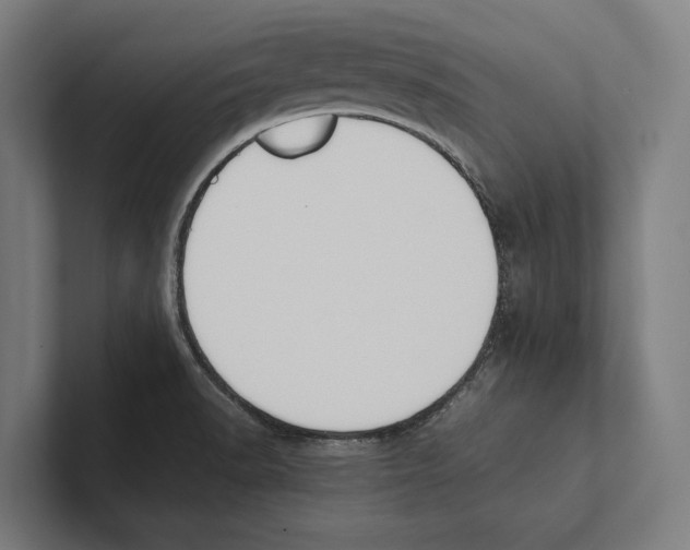 X0000100771518200807171401