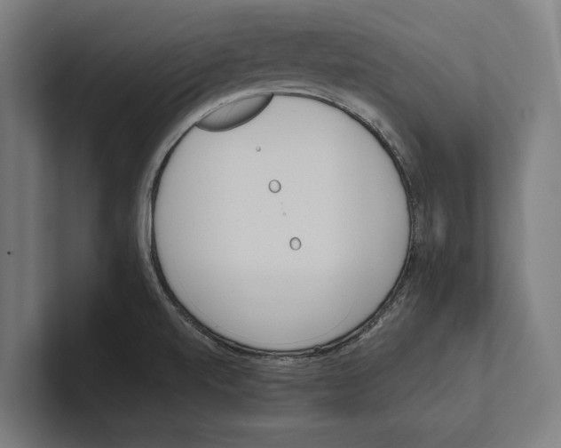 X0000100771520200807171401