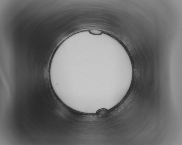 X0000100771521200807171401