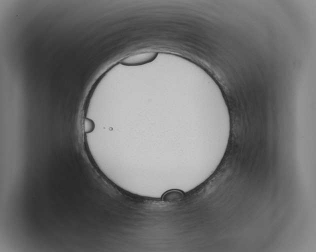 X0000100771522200807171401