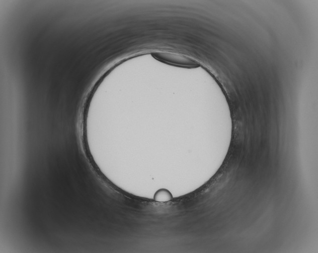 X0000100771523200807171401
