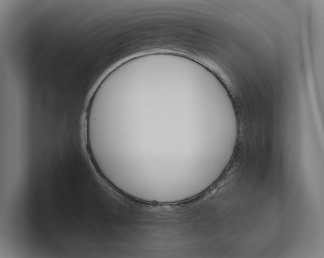 X0000100771524200807171401