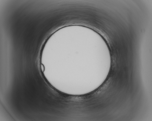 X0000100771525200807171401