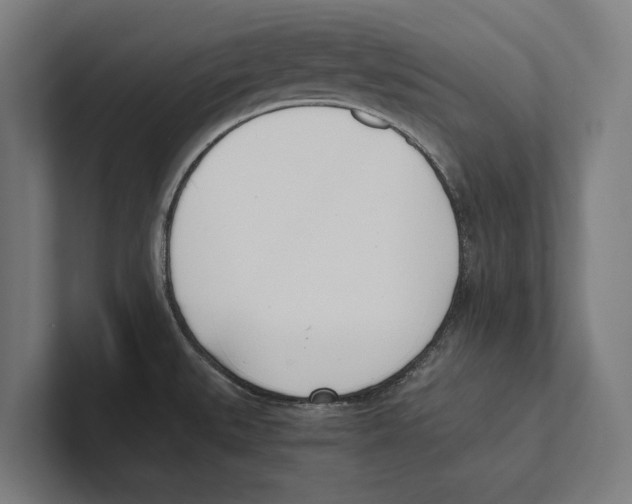 X0000100771527200807171401