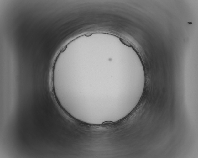 X0000100771528200807171401