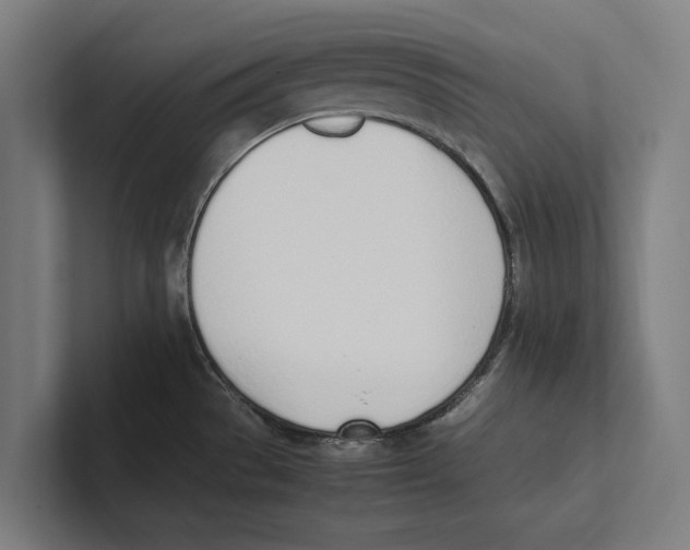 X0000100771529200807171401