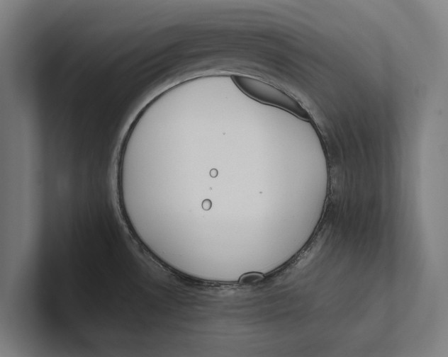 X0000100771530200807171401