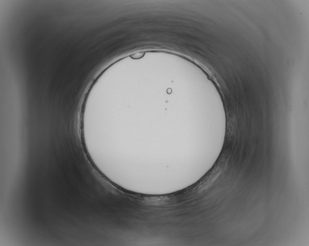 X0000100771535200807171401