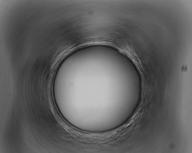 X0000100780001200806191028