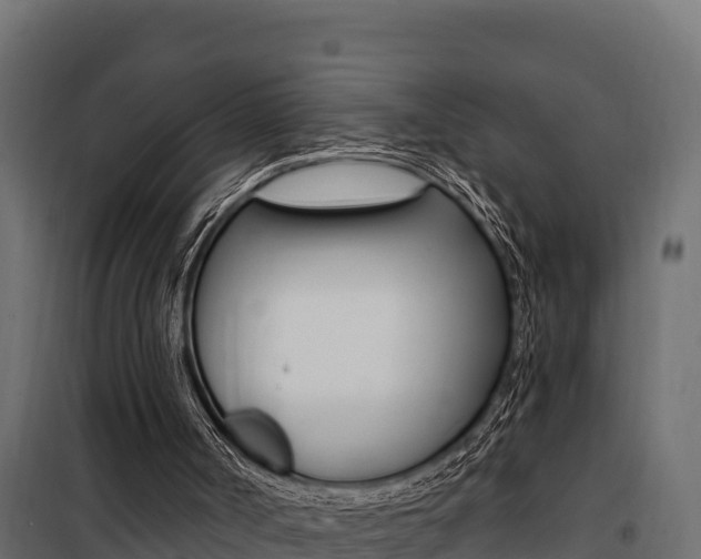 X0000100780002200806191028