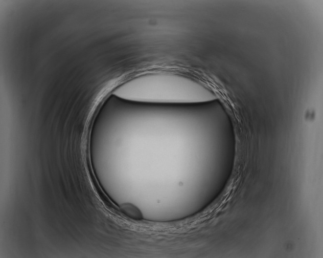 X0000100780003200806191028