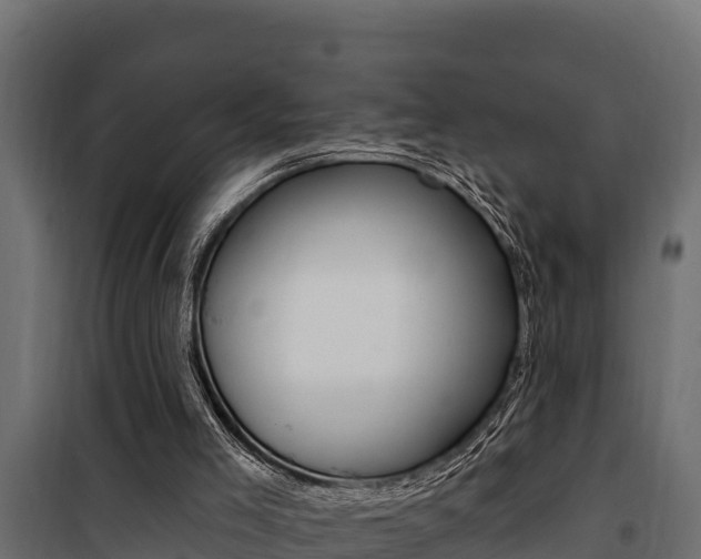 X0000100780005200806191028