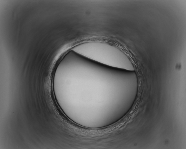 X0000100780006200806191028