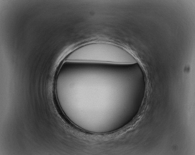 X0000100780007200806191028