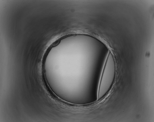 X0000100780008200806191028