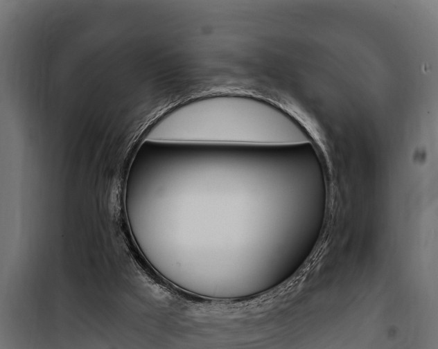 X0000100780009200806191028