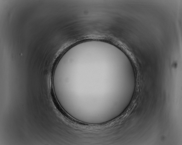 X0000100780011200806191028