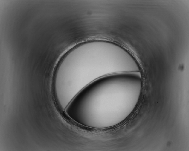 X0000100780012200806191028