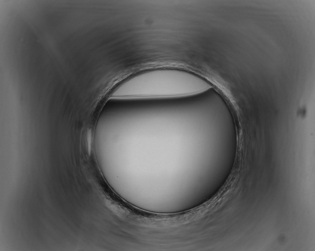 X0000100780013200806191028